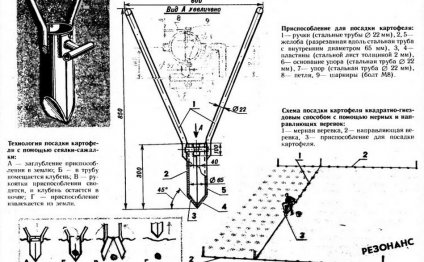 схема картофелесажалки