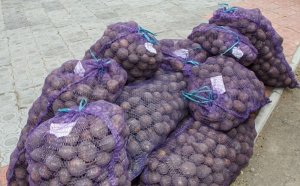 Potatoes For Landing