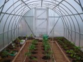 Vegetable Cultivation In Polycarbonate Greenhouse