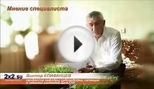 Как вырастить огурцы дома